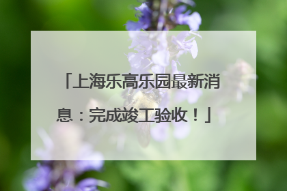 上海乐高乐园最新消息：完成竣工验收！